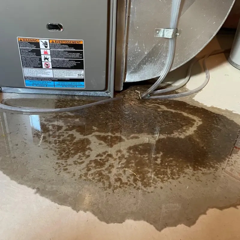 Appliance Leak Cleanup in Hale County, AL